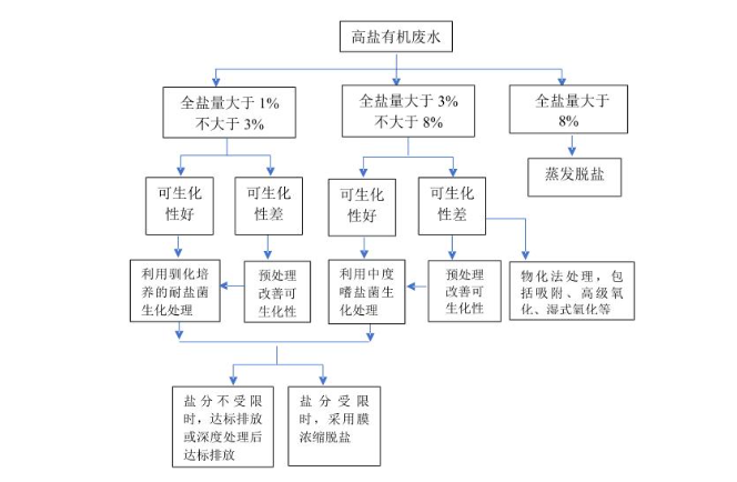 1741159069164591.png image.png